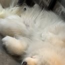 겨울이 머무는 집 | ✨이 구역 심장도둑은 너야… 공주의 『겨울이 머무는 집』 후기💘