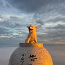 격이 다른 DMZ : DMZ 윈터 컬렉션 접경지역에서 만나는 특별한 겨울 이미지