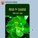 (시니어)스마트폰생활어플 이미지