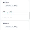 지엘 핏 이미지