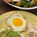 기환농장 | 농라 대가농장 자연방목유정란 왕란