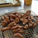 손문갈매기