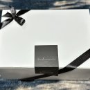 안다로미 이미지