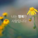 임미정미용실 - 서대문구 | 임미정미용실