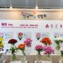 꽃과사람들 | 2026 고양 국제 꽃박람회 일산 데이트 주차 후기