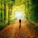 소설 쓰기의 첫걸음 이미지