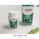 센트룸 신제품 타마플렉스 부모님 가정의달 선물 추천