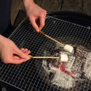 영덕10 | 경북 영덕 가을여행추천 오션뷰카라반 '더 스트림 펜션'후기