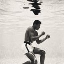 예샘궁치과의원 이미지