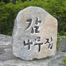 감나무집 이미지