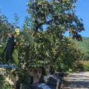 고려 펜션 이미지