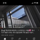 주비쥬