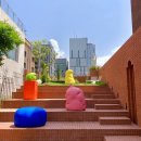 롤리폴리 이미지