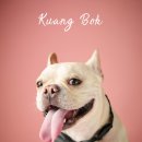 아이조아 이미지