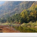삼거휴게소 네이버블로그