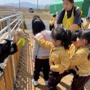 김주원농장 이미지