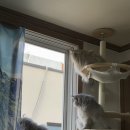 뼈대있는김치찜수성점 이미지