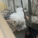 싹독싹독 이미지