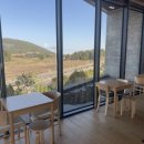 노바운더리 이미지