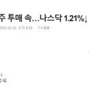 봄.봄미장 이미지