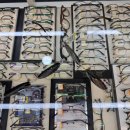 으뜸50안경 대치점 이미지