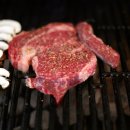 (주)테라스타 이미지