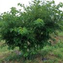 오원농장 이미지