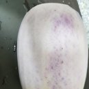 피클와무 네이버블로그