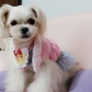 마리의류