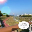 유림-1024 | [1021_1024] タンポポの綿毛