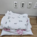 보람상조개발보람장례식장 | 장례 후기1(보람상조, 서울의료원 장례식장)