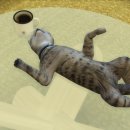 오션뷰하우스 이미지