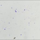 포천동물병원 이미지