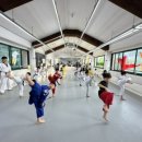 동탄한마음태권도장 이미지