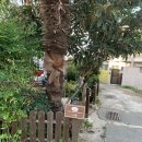 통_머물다게스트하우스