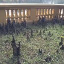 수대목장 | 열국지 [列國誌] 625 ■ 제2부 장강의 영웅들, 제10권 오월춘추, ​제 36장 공자(孔子)시대 (2)