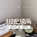 신창떡볶이 | 카페인중독 신메뉴 숙성말차라떼 및 떡볶이·와플 배달 조합 추천