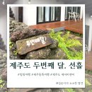 제주 에어비앤비 감성숙소 커플 추천 두번째달 선흘 후기 내돈내산