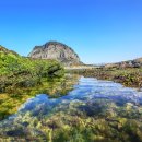 산방산의봄 이미지