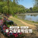 고양시민햇빛발전소3호 | 고양꽃박람회 2026 포토존 개화상황 동선 총정리
