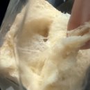 가-79 | 강릉 교동빵집 후기 | 오전에 가야 제대로 고르는 식빵집