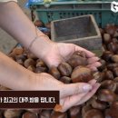 대양농수산유통