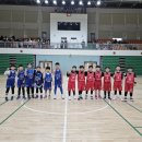 정관장초지점 | 시흥시 협회장배 춘계 종별 농구대회(초4부) 위례 썬더스 농구 교실 우승후기 ◡̎ / 위례 초등 농구