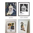 우리액자 | 강아지액자 추천, 인생네컷 스토리액자 보곤다닷컴 후기