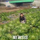 김기중농장 뉴시스