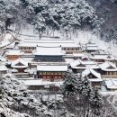 해인사소방서 이미지