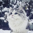 뚱땅뚱땅 이미지