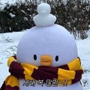 동경규동 구룡포점