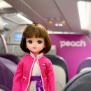 터미널2로 | 인천공항 - 오사카 간사이공항 2터미널 피치항공 후기