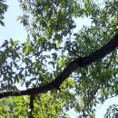 서울종합행정사LK사무소 이미지